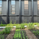 Gallery of the Stanley Center for Peace and Security showing indoor and outdoor views of meeting and personal rooms, garden areas, rainwater collectors and a solar-panel-lined roof.